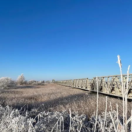 Meyers Ausguck Zingst
