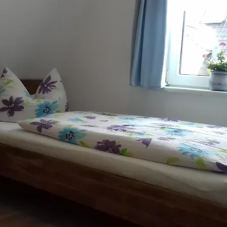 Daire Meyers Ausguck