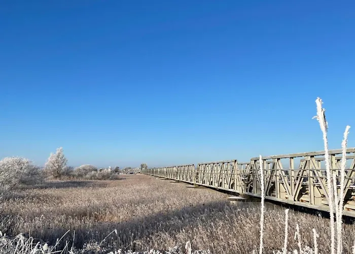 Meyers Ausguck Zingst